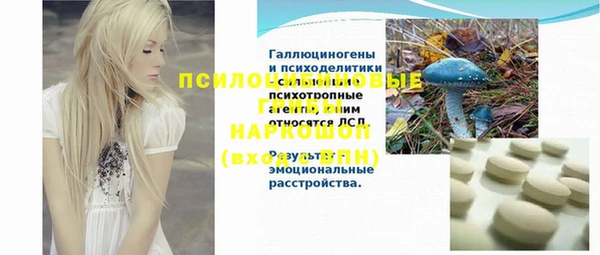 дурь Вяземский
