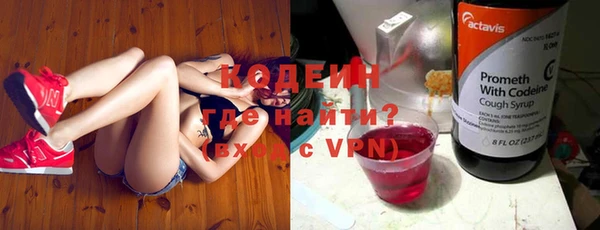 дурь Вяземский