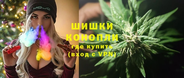 дурь Вяземский