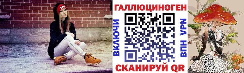 darknet клад  Жирновск  Галлюциногенные грибы MAGIC MUSHROOMS  магазин  наркотиков 